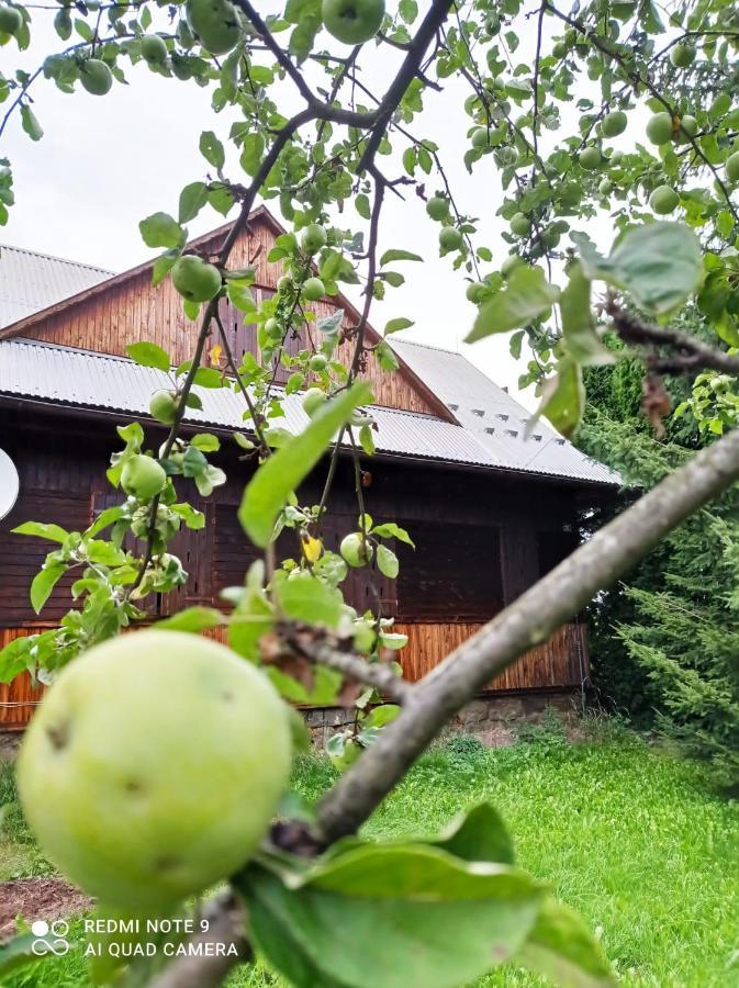 Gospodarstwo Agroturystyczne U Stasikow Spytkowice  Exteriör bild
