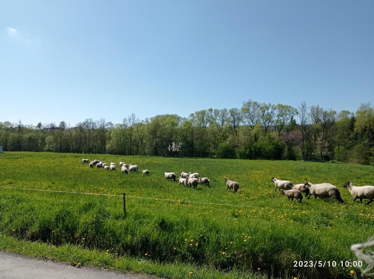 Gospodarstwo Agroturystyczne U Stasikow Spytkowice  Exteriör bild